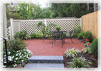 Arlington Cozy backyard