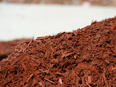 mulching the garden