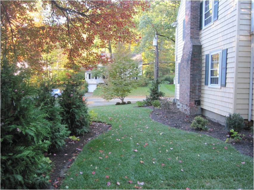 Landscaping Service in Wellesley MA