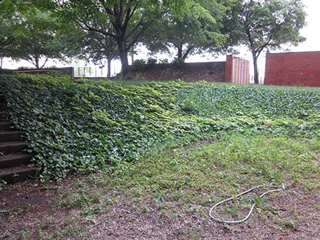 College Campus Landscaping Service MA | MIT by John's Landscaping